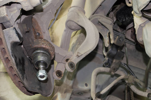 Úloha puzdier ovládacieho ramena v uhle natočenia a rozložení tuhosti valenia